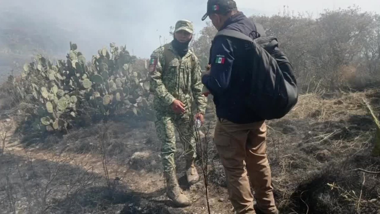 A semanas del inicio del estiaje, el Estado de México acumula 110 incendios, entre forestales y de pastizales.