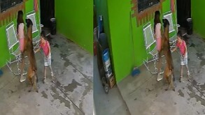 Dos menores de edad con un perro grande en Coahuila