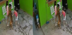 Dos menores de edad con un perro grande en Coahuila