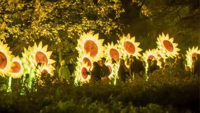 Instalación artística del Festival Glow, una exposición inspirada en la obra del pintor Vicent van Gogh