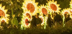 Instalación artística del Festival Glow, una exposición inspirada en la obra del pintor Vicent van Gogh