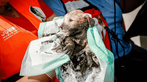 personal de Agua y Drenaje activó de inmediato un protocolo de emergencia para intervenir