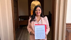 Itzel Castillo, Presidenta del Congreso local