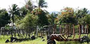 Cañeros, afectados por conflicto en Medio Oriente