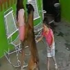 Captura del momento en que un perro ataca brutalmente a una niña en Frontera, Coahuila.
