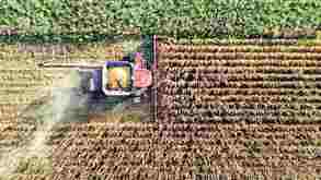 Una cosechadora roja trabajando en un campo agrícola vista desde un ángulo cenital