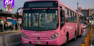 Conductora de unidad rosa del Mexibús crea espacio seguro
