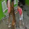 Captura del momento en que un perro ataca brutalmente a una niña en Frontera, Coahuila.
