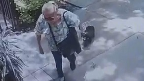 Flor 'N' captada llevándose a la perrita 'Moni' en Coyoacán