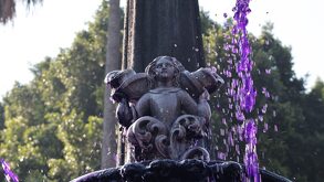 agua morada en la fuente de san miguel puebla durante la marcha del 8m