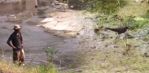 Prestadores de servicios aseguran que trabajadores y visitantes han sufrido infecciones severas tras recorridos en cascadas y parajes naturales.