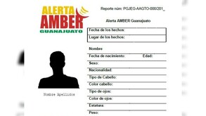 La Fiscalía General del Estado de Guanajuato (FGEG) informó que se mantienen vigentes las investigaciones para la localización de 36 menores de edad.