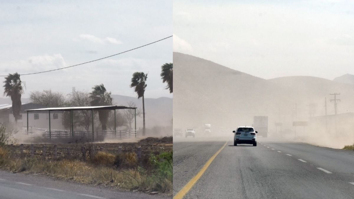 Tolvanera en Torreón