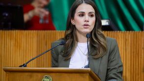Lorena de la Garza diputada del PRI