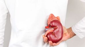 Doctora señalando donde se ubica el riñón