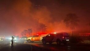 Debido a las fuertes ráfagas de viento, las llamas se extendieron rápidamente