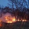 Guanajuato registra 550.11 hectáreas afectadas por incendios forestales en lo que va del año, de acuerdo con Protección Civil.