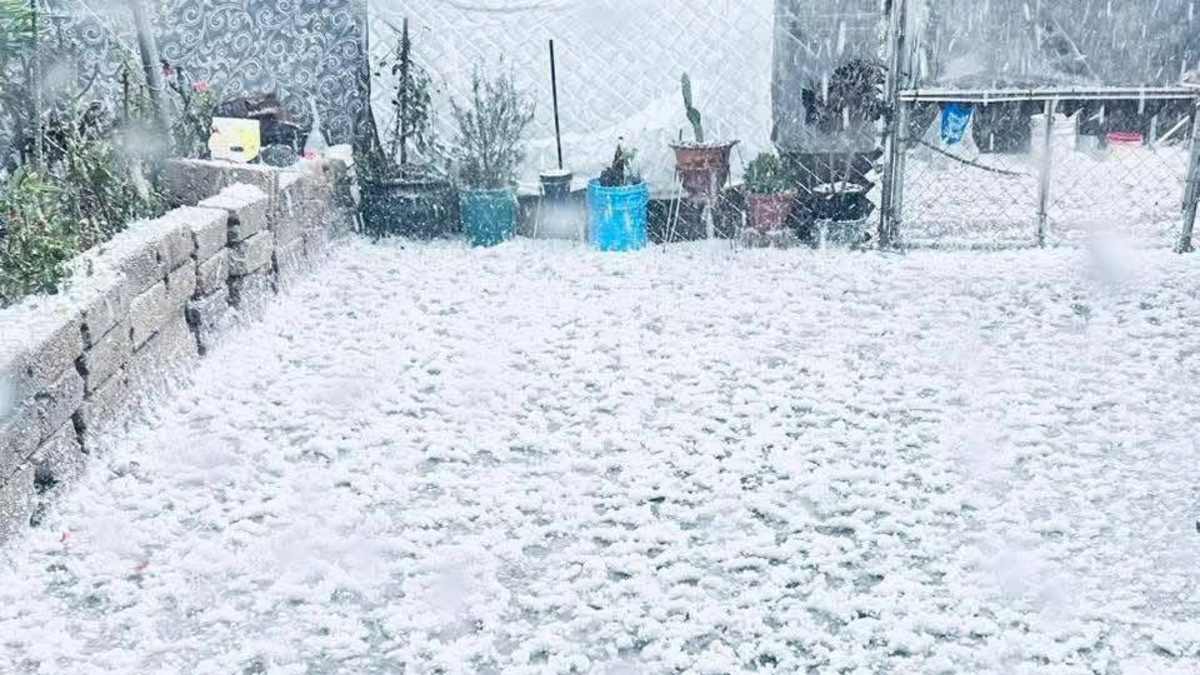 Las calles de Cuautitlán Izcalli quedaron tapadas de blanco luego de que se reportó un caída abundante de granizo durante la lluvia de esta tarde.