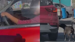 Se observa a mujer abandonando a perrito sobre Avenida Diego Díaz de Berlanga en Apodaca