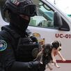 Fiscalía del Estado de México asegura veterinaria en Ciudad Azteca tras hallazgos de cuerpos de perros en maletas