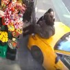 Taxi color amarillo en calles de Nueva York impactando en contra de dos mujeres delante de un puesto con arreglos florales
