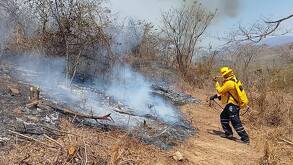 brigadistas combaten incendio forestal en cabo corrientes Jalisco