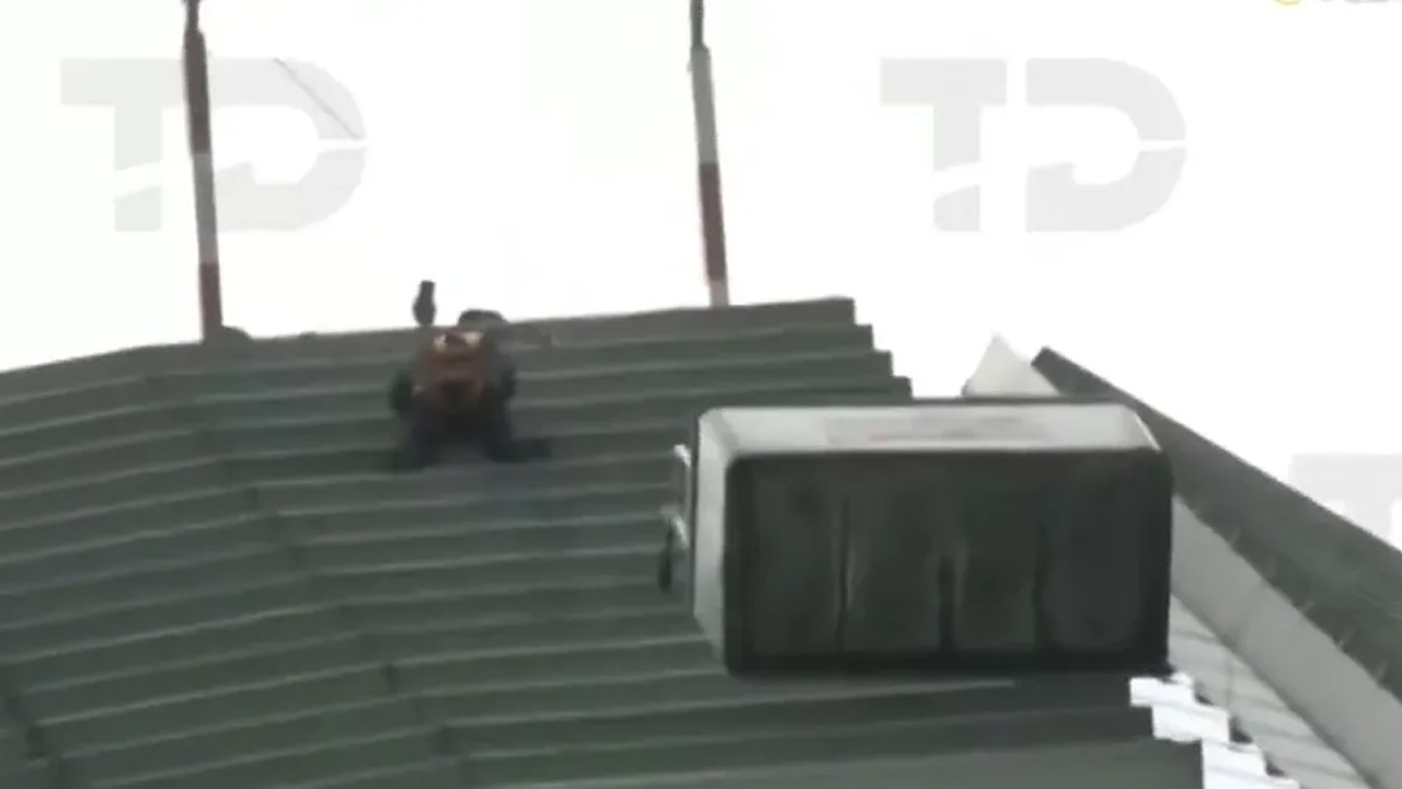 Un trabajador de limpieza fue rescatado tras quedar suspendido en una góndola en el piso 34 del hotel St. Regis, en Paseo de la Reforma.