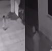 Capturas de menor de edad raptada, cámaras de seguridad grabaron todo.