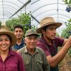 Equipo de cosechadores de Sun Berries en un invernadero de Lagos de Moreno, Jalisco