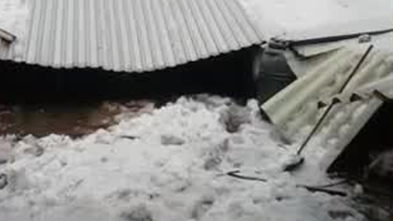 Programa conducido por Ricardo Solaback, miércoles 18 de marzo 2026.