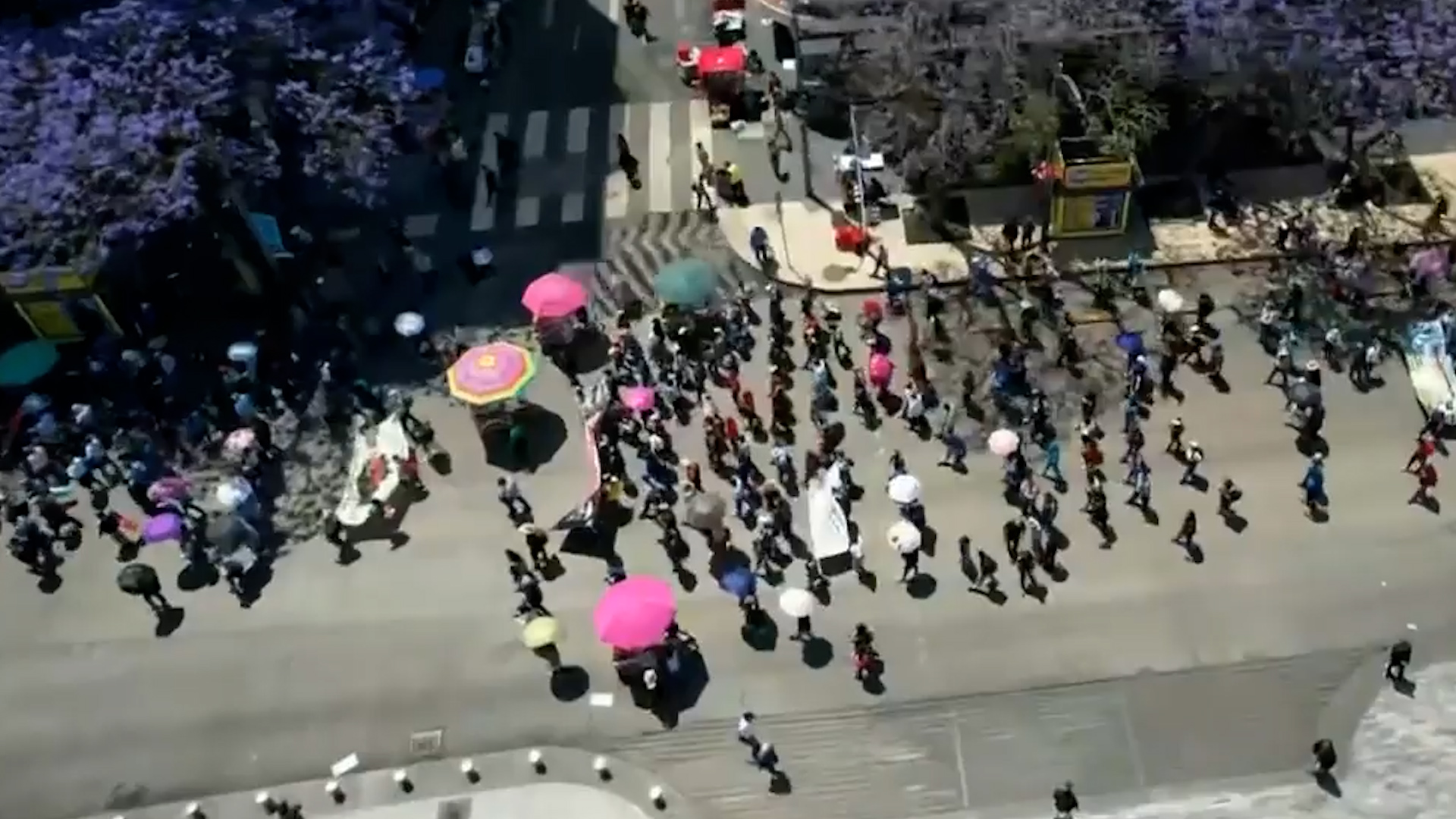 La CNTE inicia paro nacional de 72 horas con plantón en el Zócalo. Maestros exigen diálogo con Sheinbaum y anuncian protestas en embajadas de la CdMx.