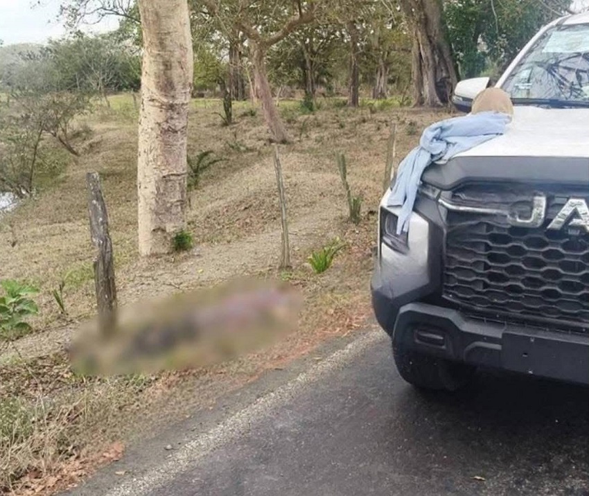 Cuerpo de una persona sin vida junto a una camioneta blanca.