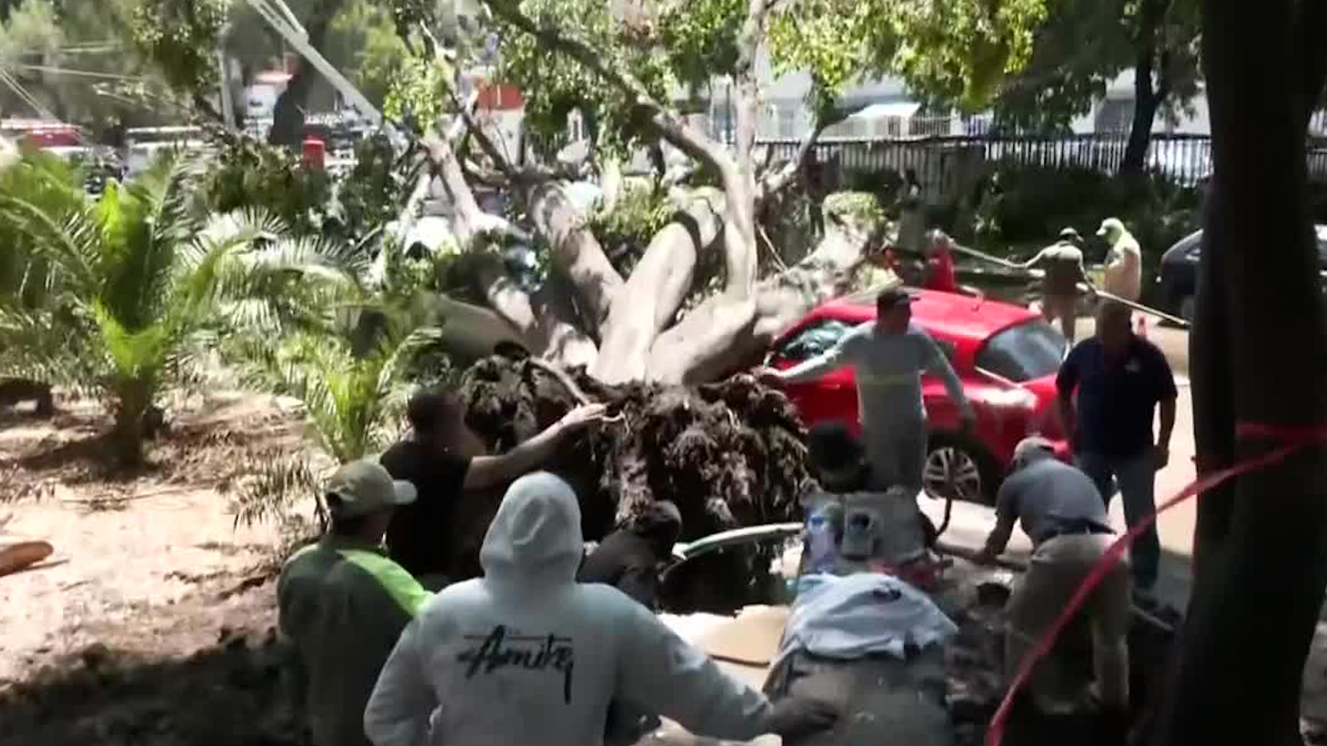 Caída de un árbol provoca destrozos en sistema eléctrico e hidráulico de la Unidad Habitacional Presidente Madero.