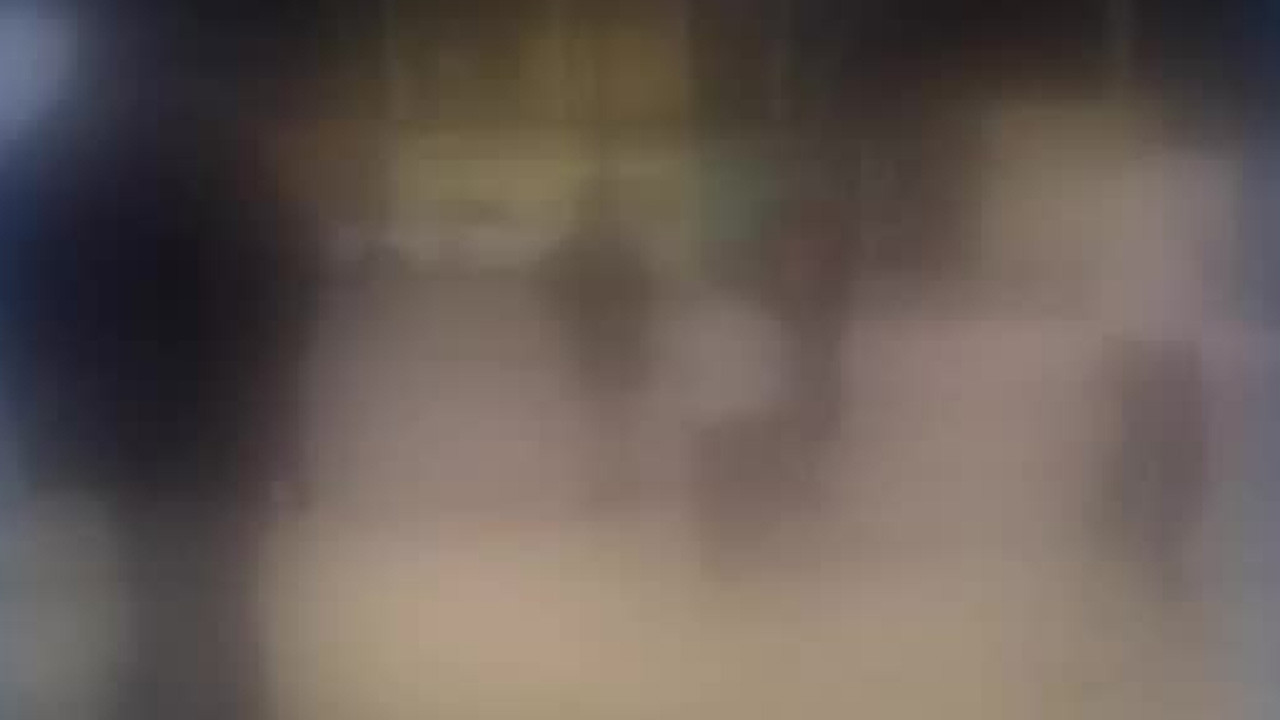 Un video mostró una riña entre menores, algunos de hasta 8 años, en Palomino Dena, Aguascalientes.