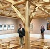 Constelaciones y Derivas: Arte de América Latina en el Museo de Arte Contemporáneo