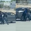 Video que capta a dos hombres peleándose a golpes en Los Viñedos.