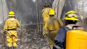 San Luis Potosí tiene un registro de 53 incendios y una afectación superior a las 20 mil hectáreas, lo que ha colocado al estado en el primer lugar nacional.