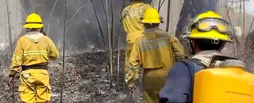 San Luis Potosí tiene un registro de 53 incendios y una afectación superior a las 20 mil hectáreas, lo que ha colocado al estado en el primer lugar nacional.