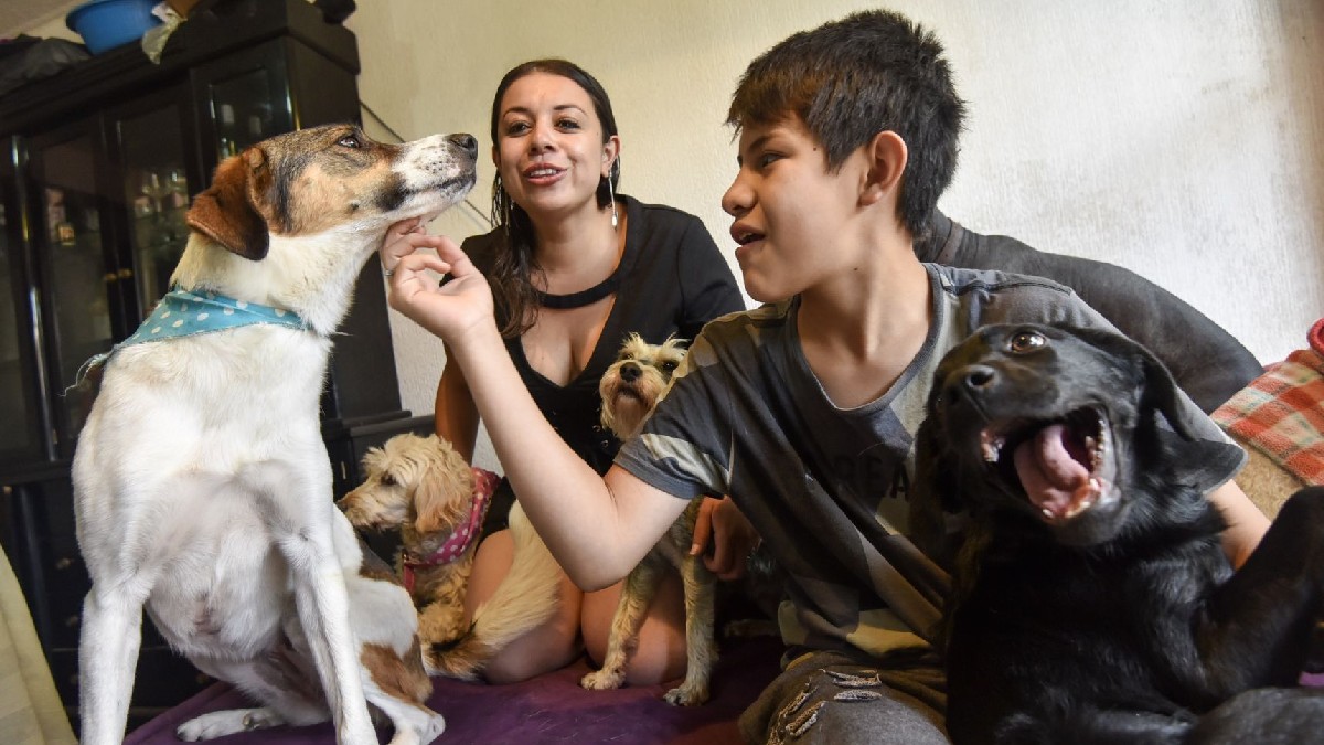 Se observa a una mujer sonriendo, un niño agarrando un perro y otros lomitos a lado.