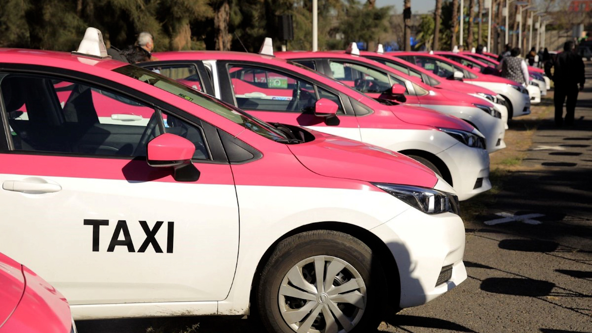 Analizamos el funcionamiento de Mi Taxi, la app del Gobierno de la CdMx que busca competir con Uber. Descubre por qué usuarios y taxistas la abandonan.