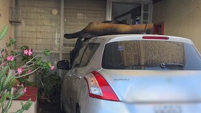 Vehículo afectado por el incendio en la cochera de una casa en la Colonia Colón.