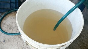 Autoridades de salud descartan riesgos sanitarios pese a reportes ciudadanos sobre el agua en Guadalajara.