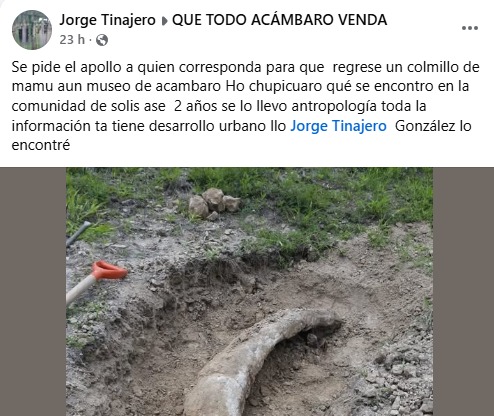 Al percatarse de que se podría tratar de un resto de origen prehistórico, Jorge lo retiró de la zona con los debidos cuidados para resguardarlo en su casa.