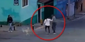 Hombre y mujer peleando en la vía pública.