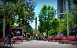 Zona de Chapultepec en Guadalajara