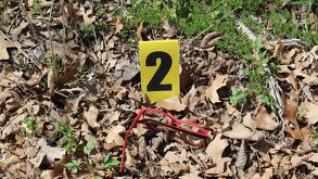 Delitos en Puebla 2026 estadísticas.