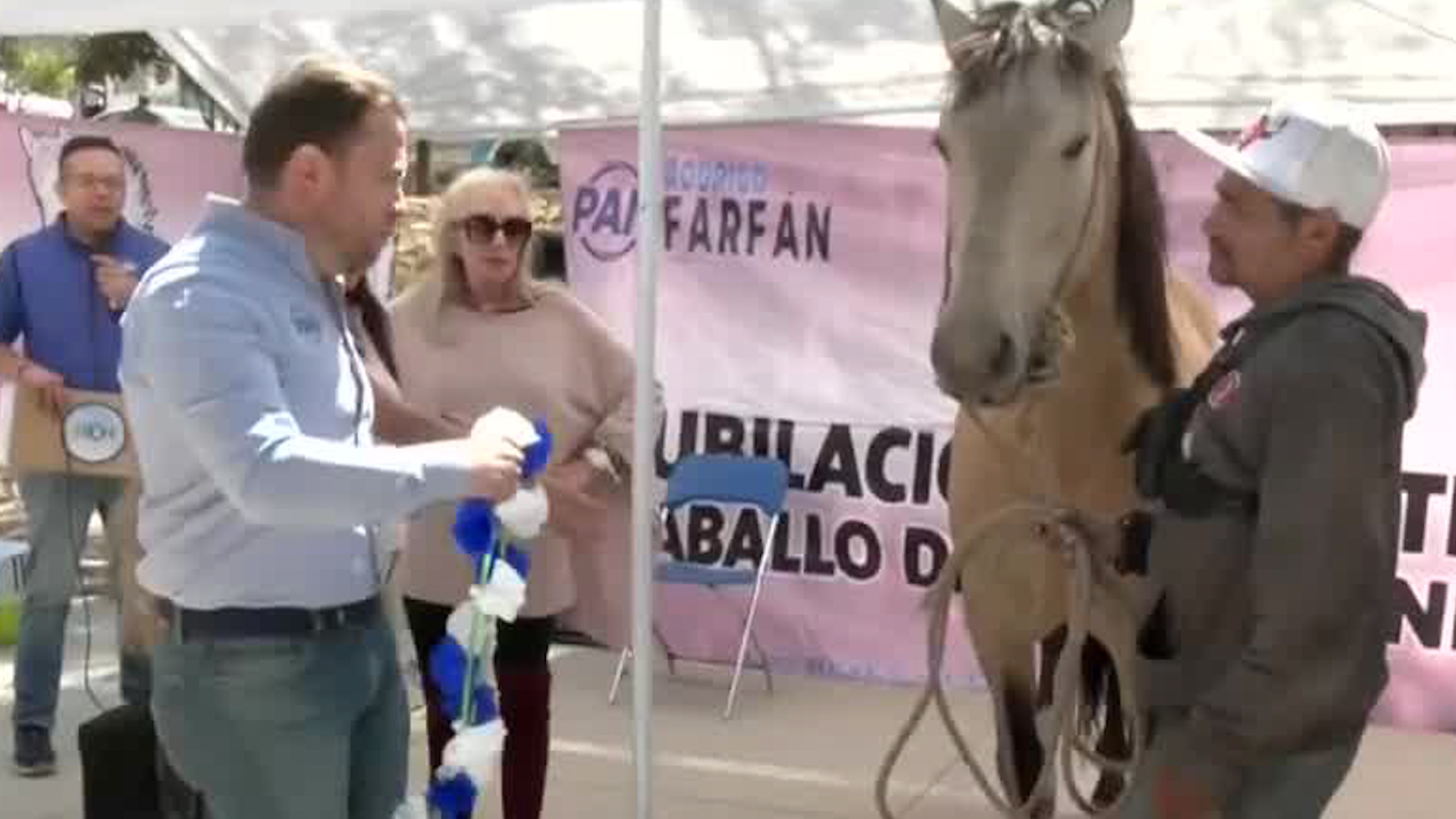 La iniciativa fue impulsada para evitar el maltrato animal en la entidad mexiquense.