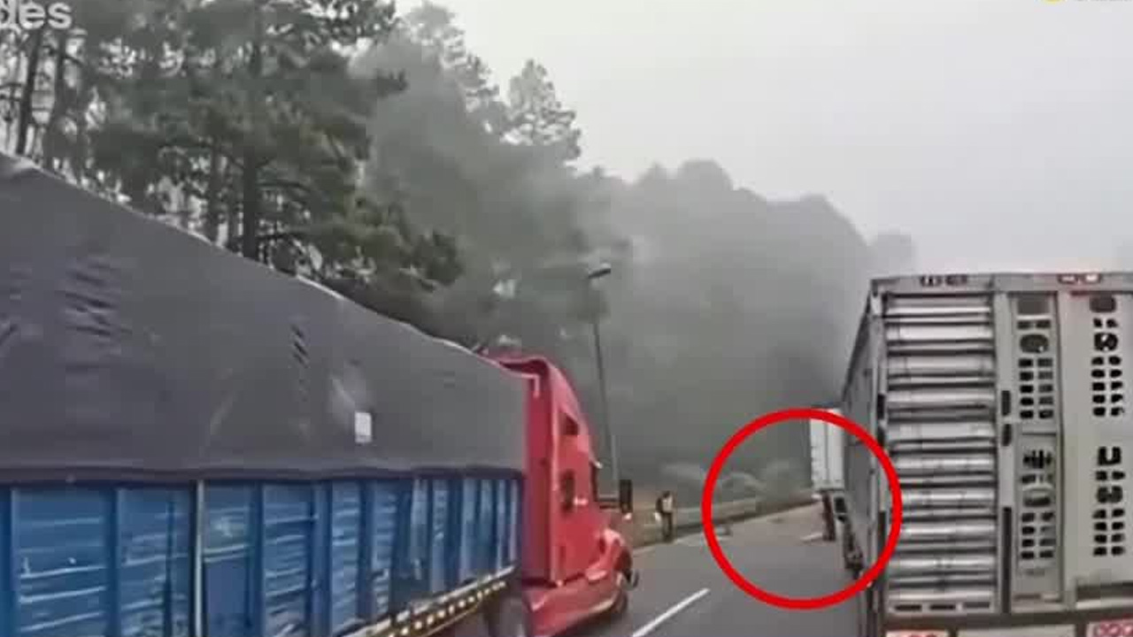 Un tráiler que transportaba ganado fue asaltado en la autopista Puebla-Orizaba mediante un falso retén.