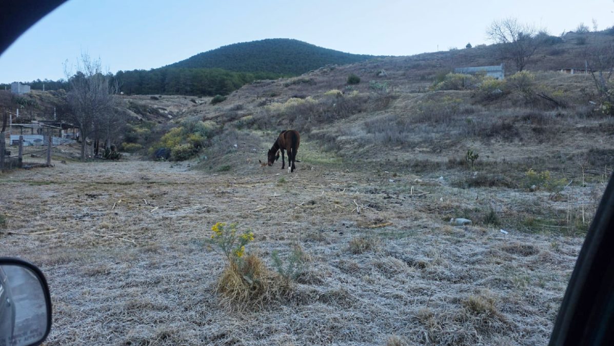 Hielo en Galeana, Nuevo León