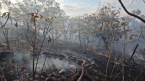 El incendio de 'La Primavera' generó una contaminación importante en el aire de la Perla Tapatía.